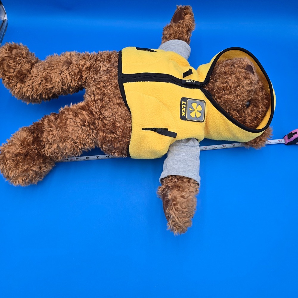 Wish Bear Luck Gund Teddy‎ Bear 2000 2001 May Department Stores Limited Edition - Picture 7 of 11